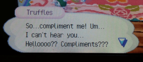 So... compliment me! Um, I can't hear you. Hello? Compliments?